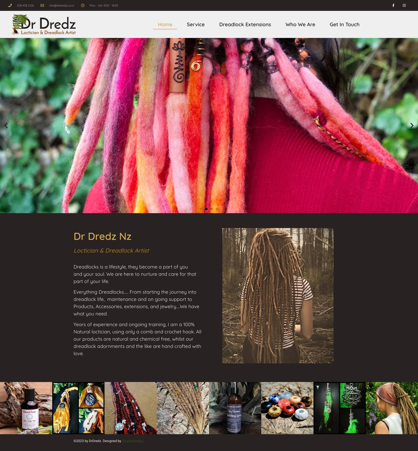 Dr Dredz full website scroll preview