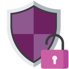 Vulnerability and cyber security icon